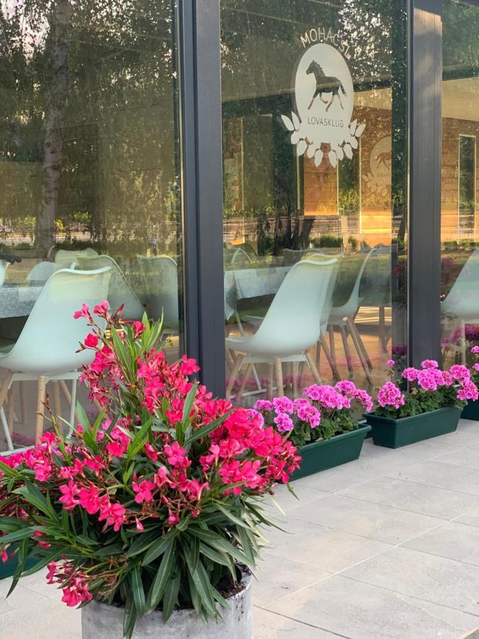Mohacsi Wellness Vendeghaz Es Lovasklub Hotel Екстериор снимка