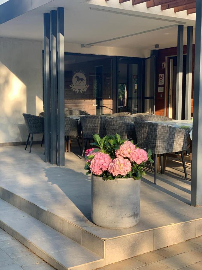 Mohacsi Wellness Vendeghaz Es Lovasklub Hotel Екстериор снимка
